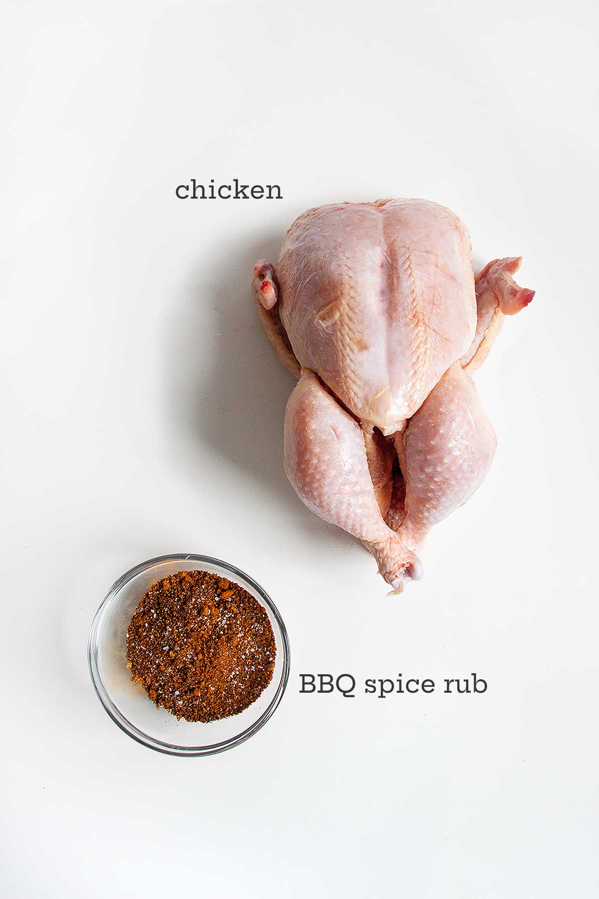 Ingredients for smoked chicken -- a whole chicken and a bowl of BBQ spice rub.