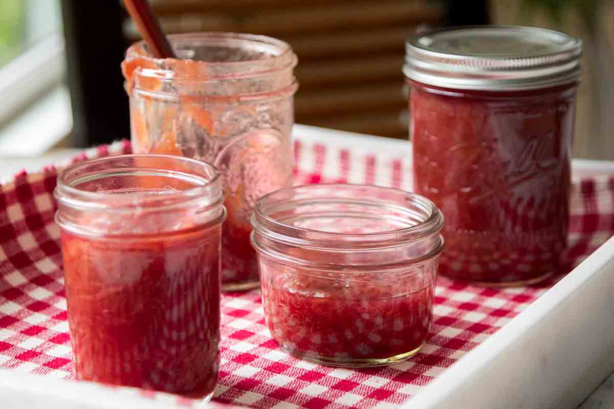 rhubarb-jam-fp