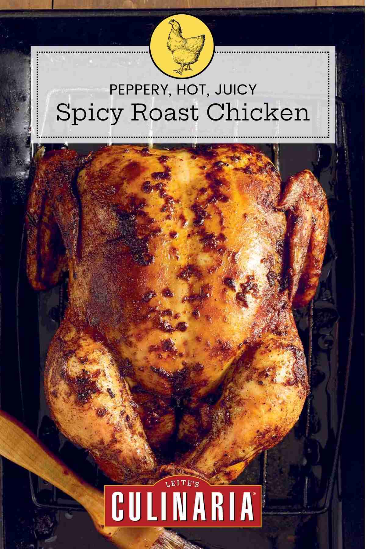A whole spicy roast chicken on a rack set inside a baking dish with a brush lying beside the chicken.