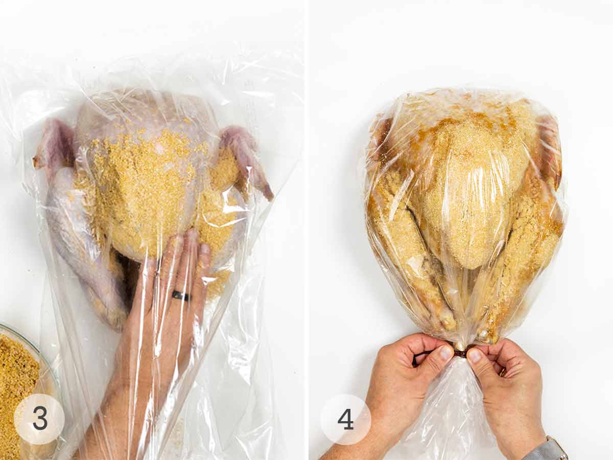 A person rubbing a turkey with dry brine, then securing the bag that the turkey is in.