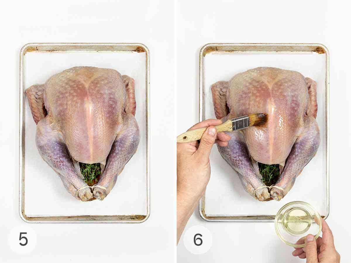 A whole turkey with some herbs in the cavity on a baking sheet and a person brushing the turkey with oil.