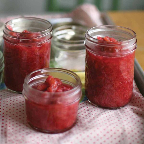 A table with three canning jars filled with easy rhubarb jam.