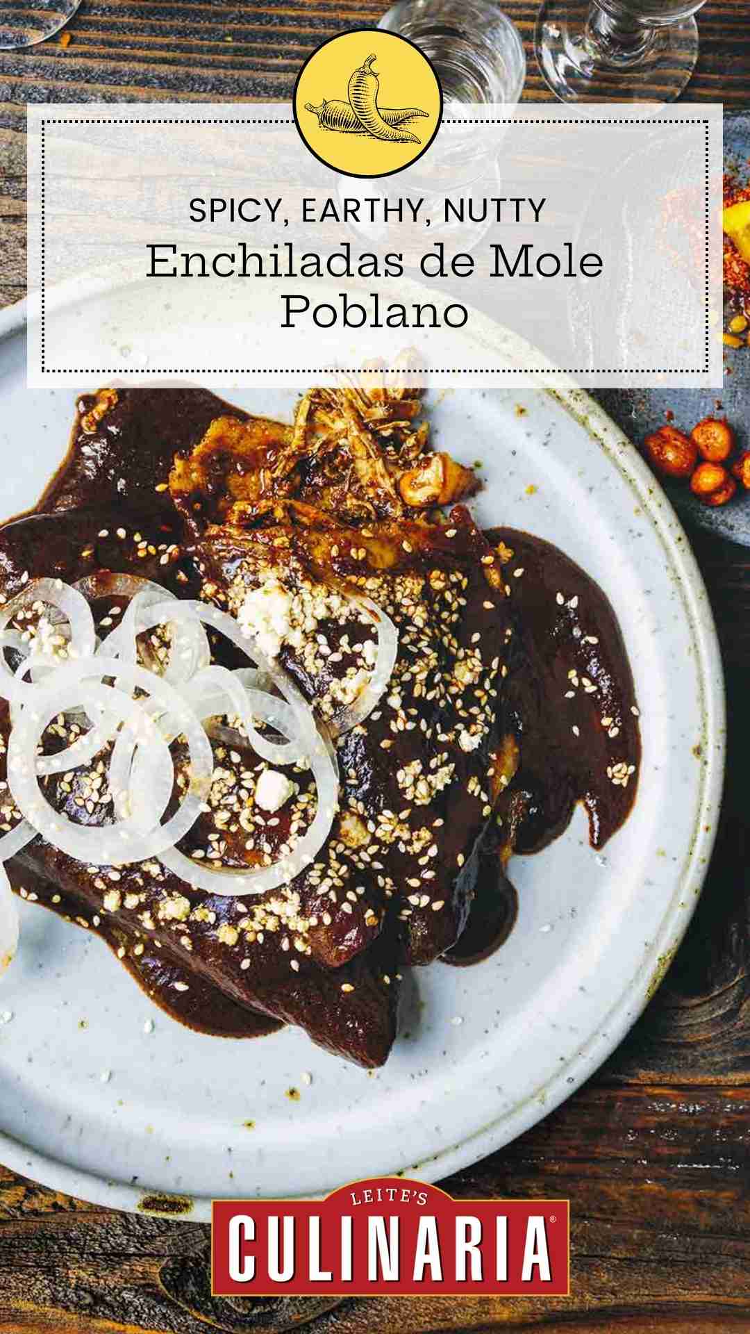Two enchiladas de mole poblano on a white plate, topped with thinly sliced white onion.