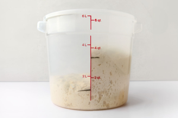 A large plastic container half filled with unrisen dough and half filled with risen bread dough.