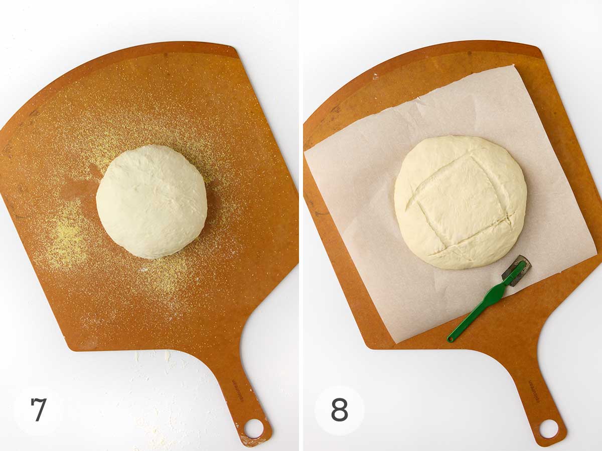 A round of bread dough on a pizza peel and a scored round of bread dough on a sheet of parchment on a pizza peel.