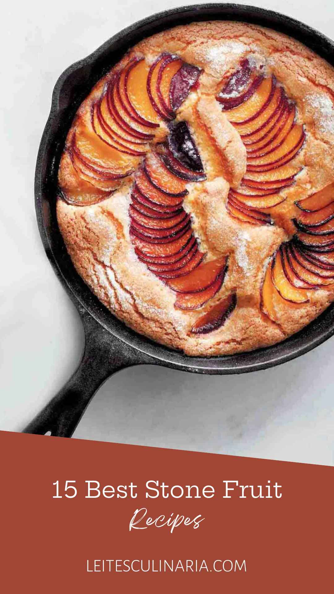 A skillet cake with sliced plums fanned through the batter.