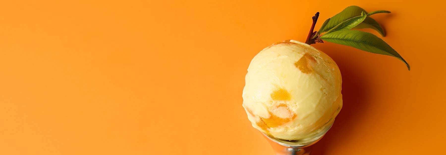 A scoop of homemade peach ice cream in a metal scoop with peach leaves sticking out the top.