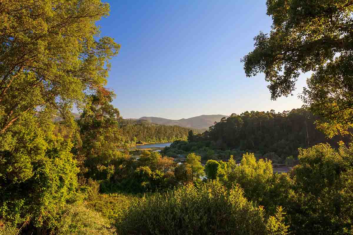 A river surrounded by trees and mountains in Monção, Portugal in the Minho.
