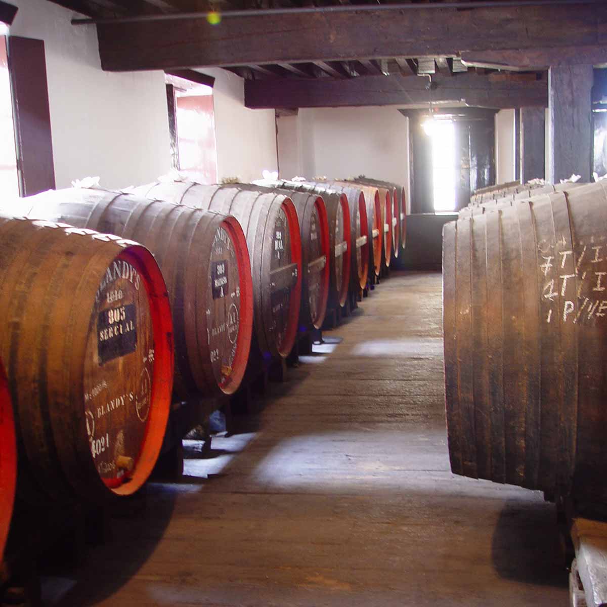 Rows of wooden Blandy barrels containing Madeira wine in a sunny, warm attic.