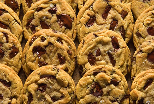A bevy of chocolate chip cookies in rows.