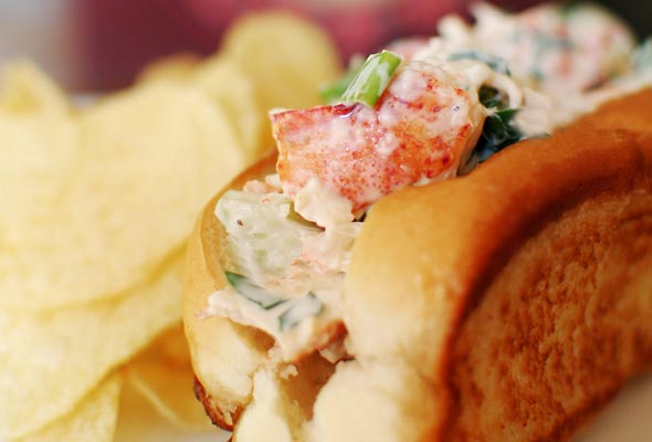 A lobster roll on a toasted split bun, stuffed with lobster in a creamy mayo and lemon dressing with some potato chips on the side.