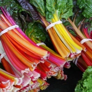 Rainbow Swiss chard piled in a greengrocer's market.